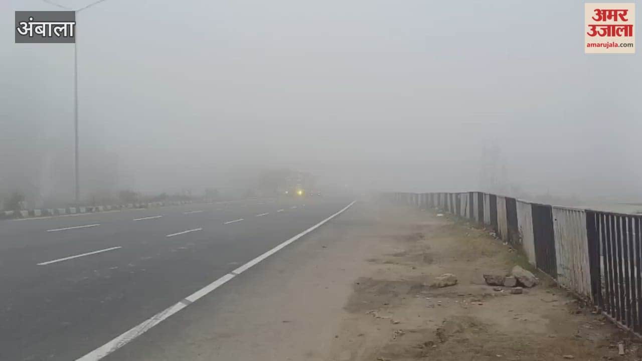 Cold wave grips Ambala, dense fog slows down traffic on the Ambala-Amritsar highway.