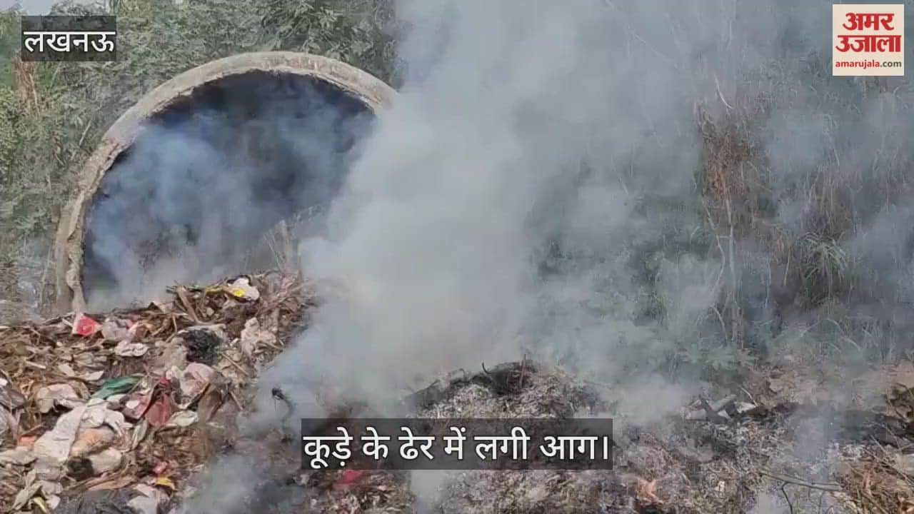VIDEO: प्रदूषण और कोहरे के कारण रद्द हुआ टी20 फिर भी नहीं सुधर रहे जिम्मेदार
