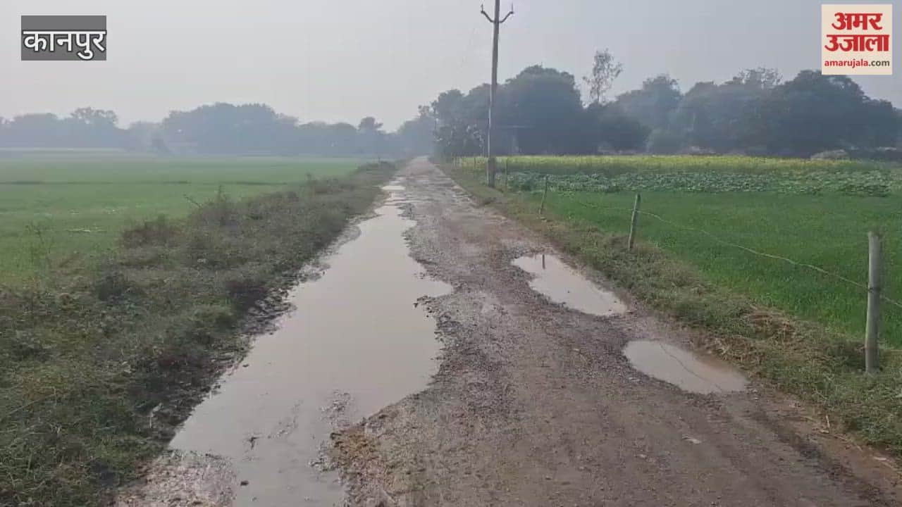 road is full of potholes, and the water filling them is causing problems