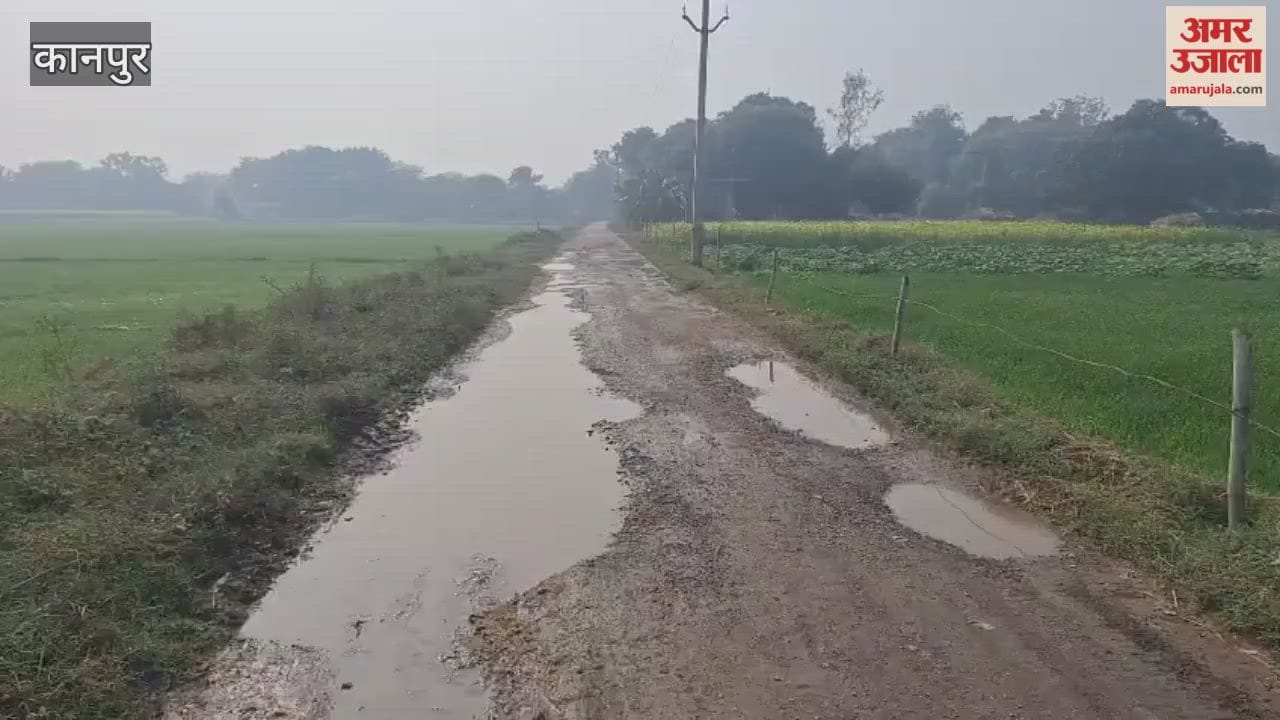 road is full of potholes, and the water filling them is causing problems