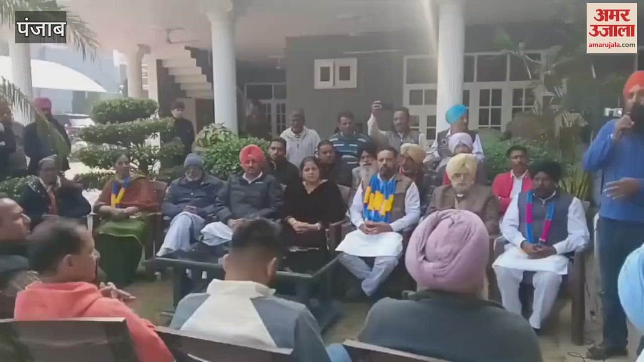 The Congress party performed well in the Zila Parishad and Panchayat Samiti elections in the Moga zone.