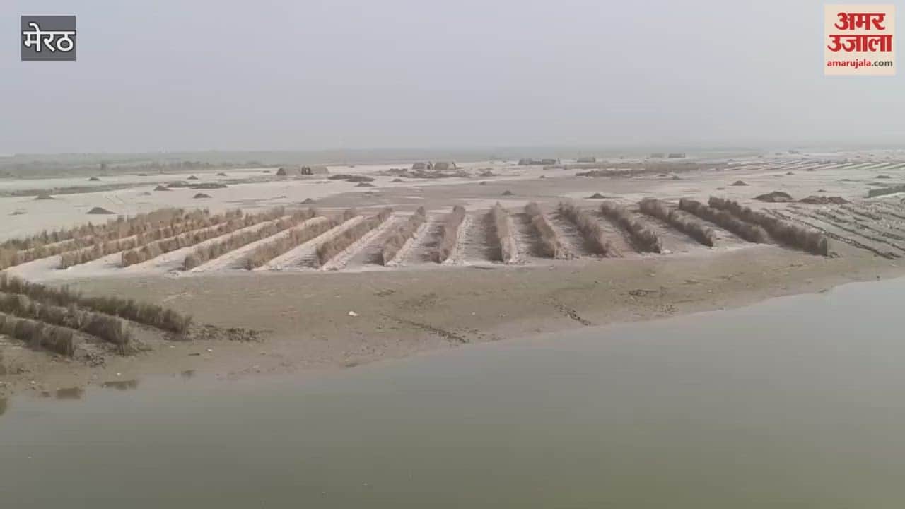 Meerut: The Ganga is being polluted in Hastinapur, but Namami Gange and the Forest Department are remaining silent