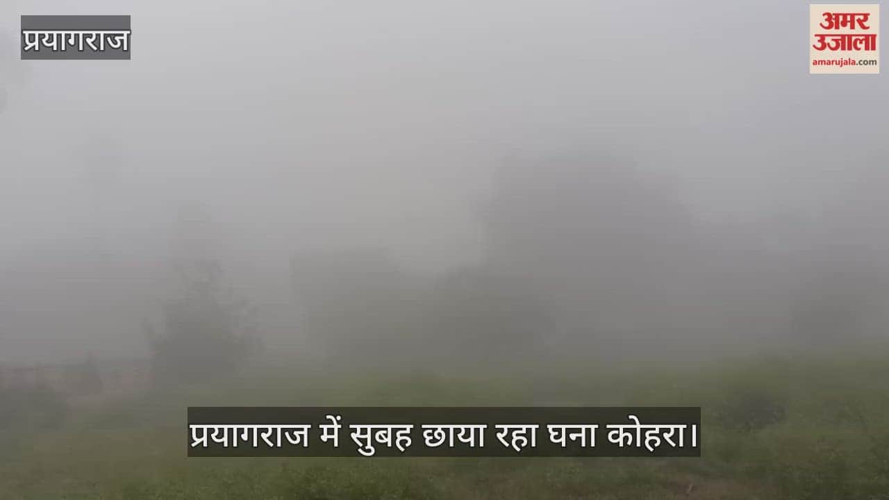 Dense fog prevailed in Prayagraj in the morning, the sun was not visible till late afternoon.