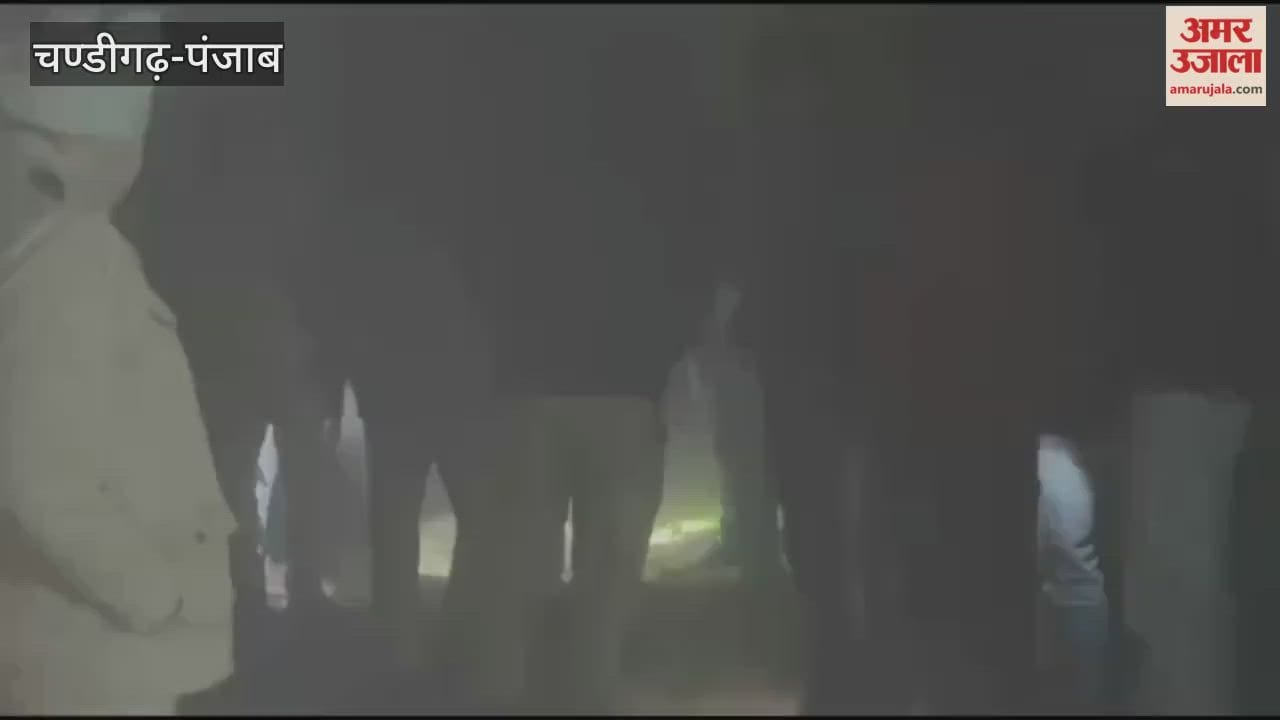 Murder suspect arrested in police encounter in Hoshiarpur