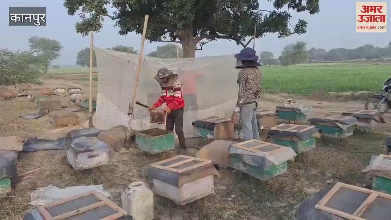 Fields and forests are abloom with flowers, bringing smiles back to the faces of beekeepers in Bhitargaon