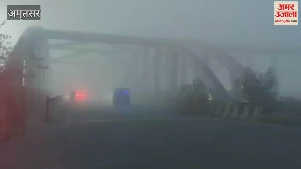 Dense fog engulfs Amritsar
