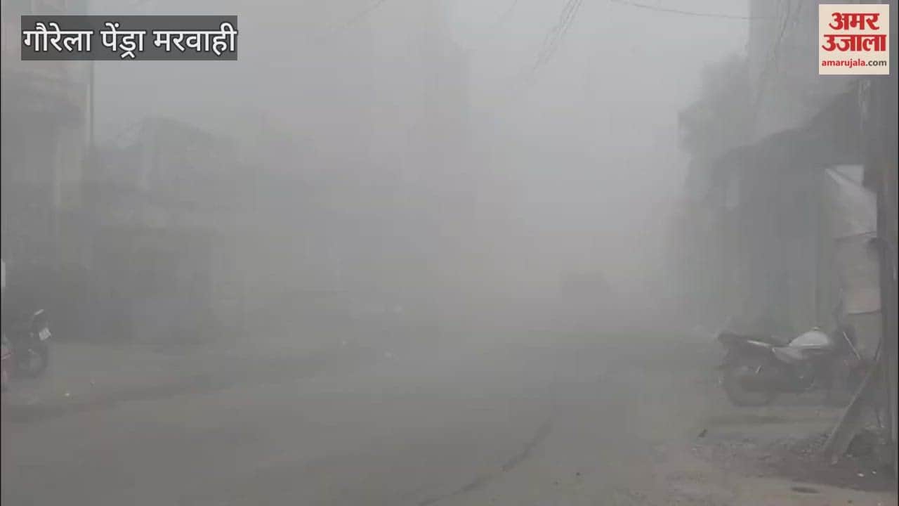Gaurela Pendra Marwahi is gripped by dense fog and a cold wave