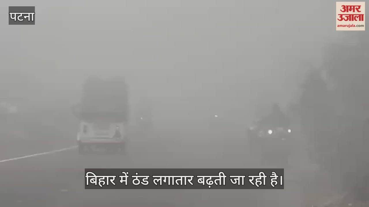 Bihar Weather News: Fog alert in several districts including Patna, Muzaffarpur; weather forecast, temperature