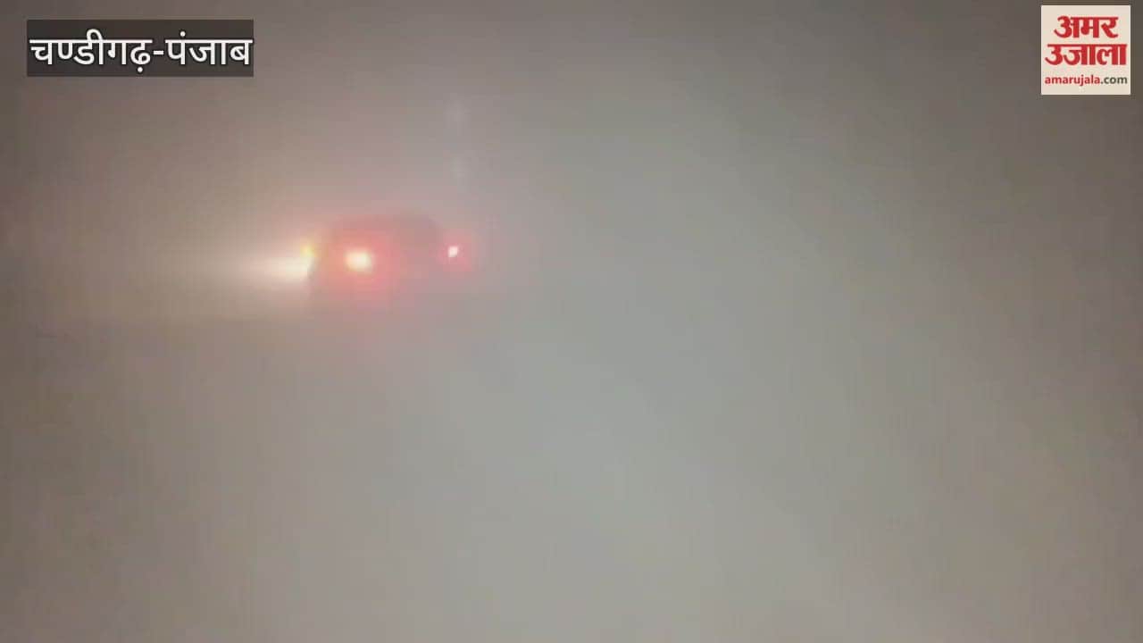 Dense fog in Moga, drivers troubled