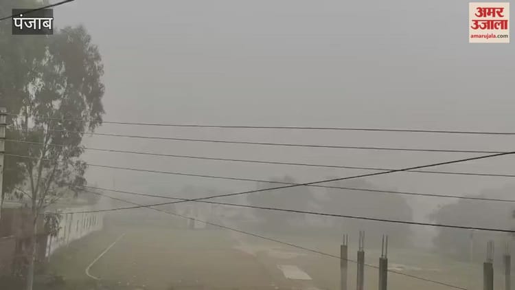 फगवाड़ा में कम हुआ धुंध का प्रकोप, लोगों को मिली राहत – Fog Intensity Reduced In Phagwara, People Got Relief