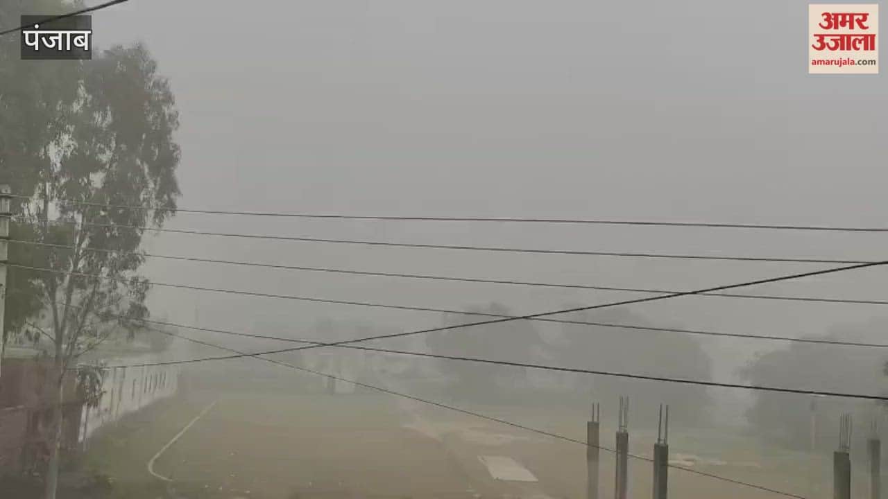 Fog intensity reduced in Phagwara, people got relief