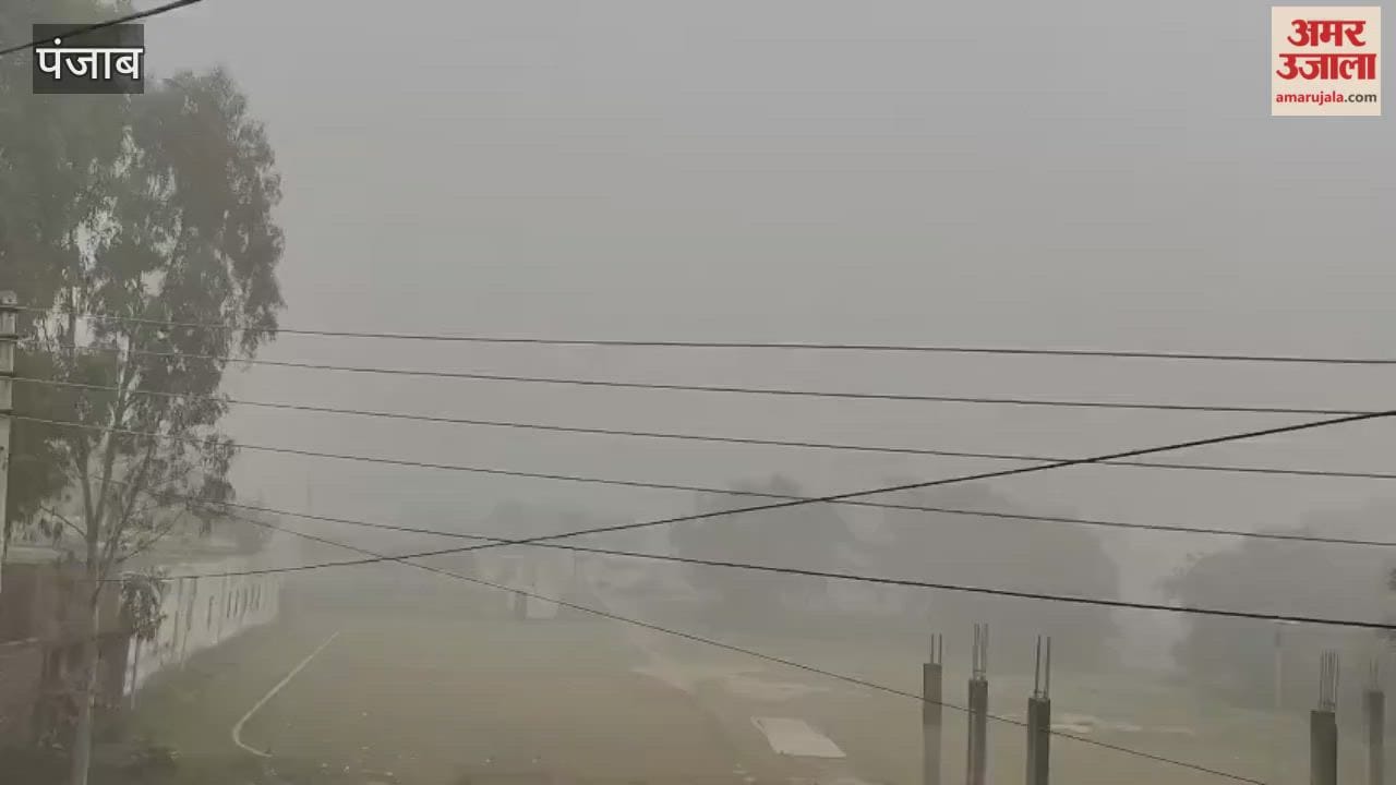 Fog intensity reduced in Phagwara, people got relief