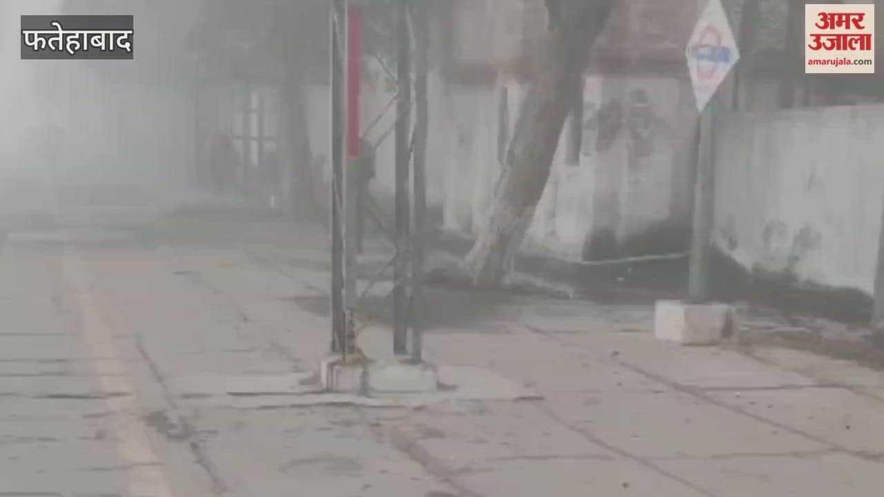 In Jakhal, Fatehabad, several trains are running up to 4 hours late due to fog, and passengers are shivering in the cold while waiting for their trains at the station.