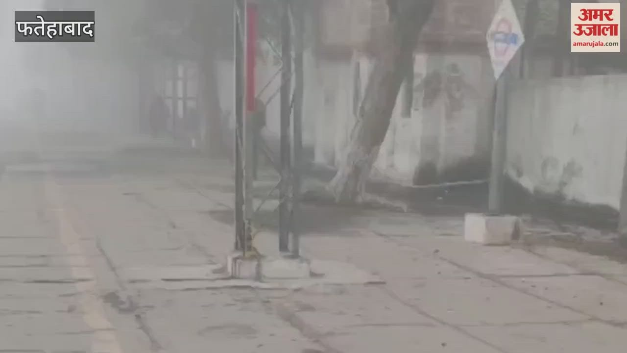 In Jakhal, Fatehabad, several trains are running up to 4 hours late due to fog, and passengers are shivering in the cold while waiting for their trains at the station.