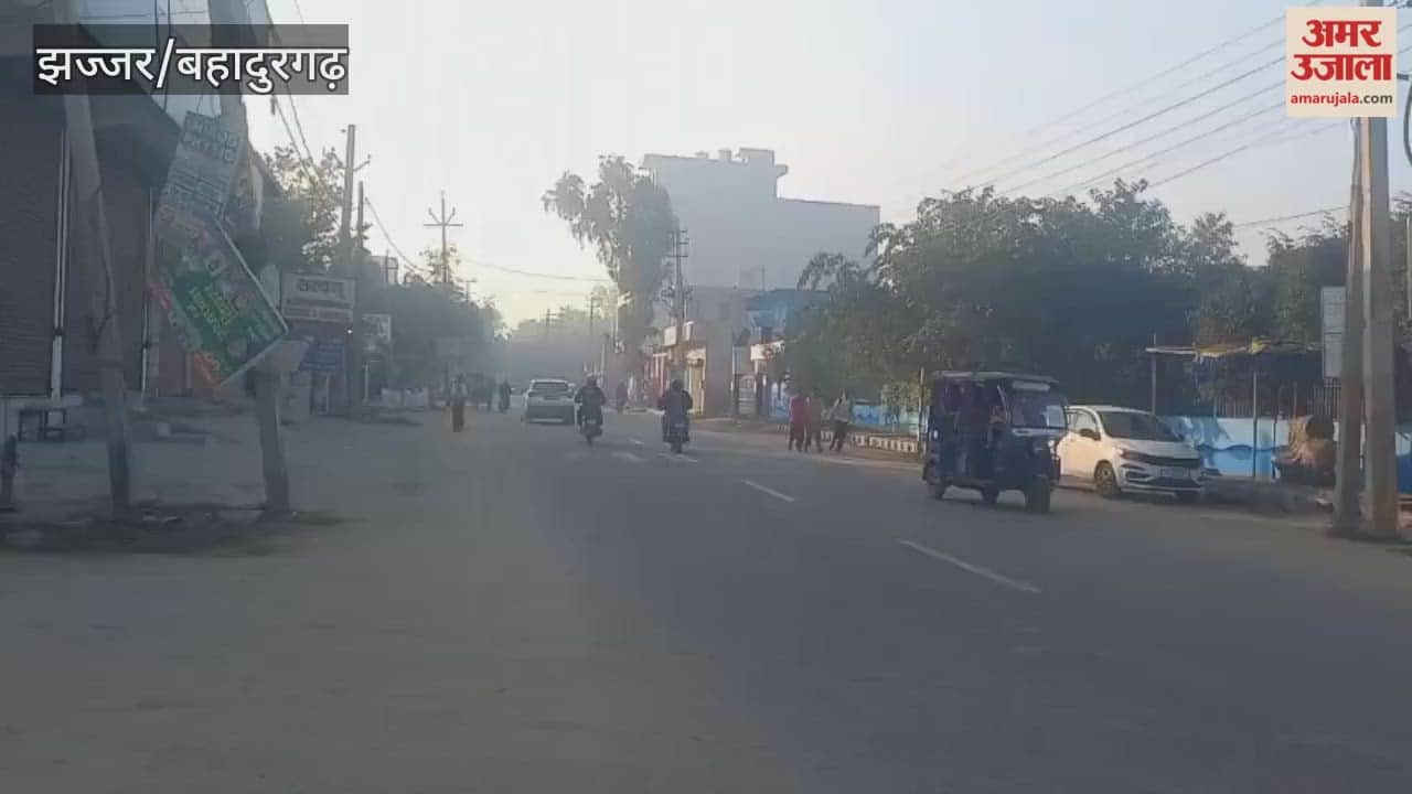 fog has cleared in Jhajjar, and the sun is shining.