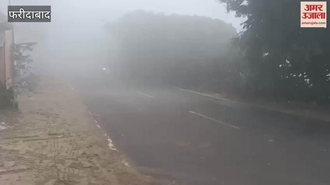 Life in Faridabad has been severely affected due to the fog
