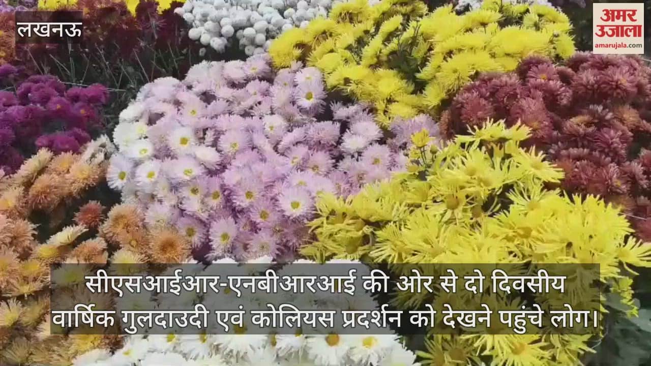 Video : सीएसआईआर-एनबीआरआई की ओर से दो दिवसीय वार्षिक गुलदाउदी एवं कोलियस प्रदर्शन को देखने पहुंचे लोग