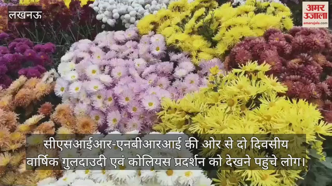 Video : सीएसआईआर-एनबीआरआई की ओर से दो दिवसीय वार्षिक गुलदाउदी एवं कोलियस प्रदर्शन को देखने पहुंचे लोग