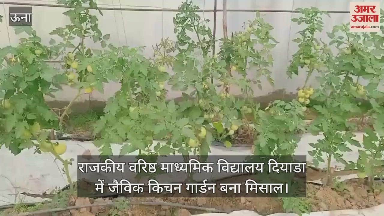 The organic kitchen garden at Government Senior Secondary School, Diyada, has become an example to others.