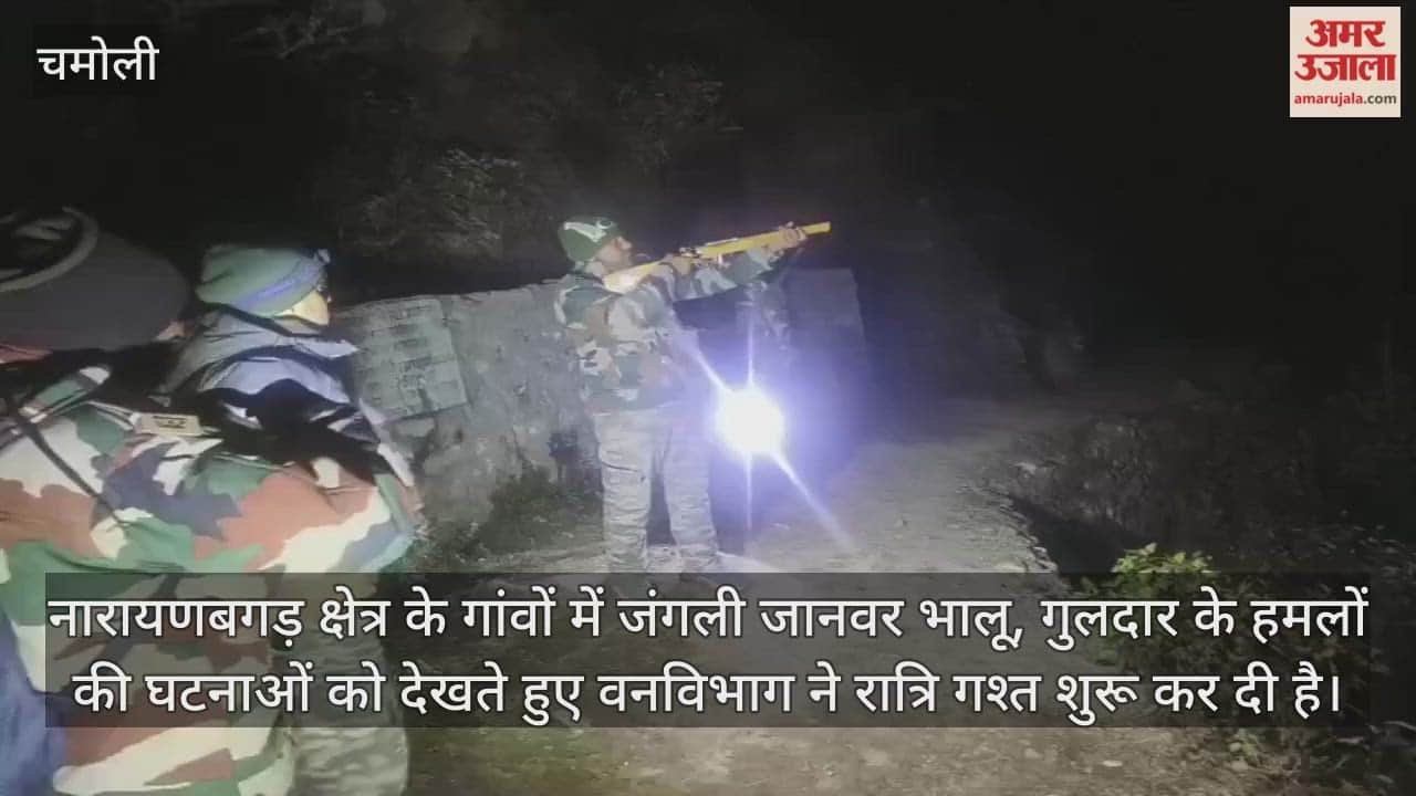 Chamoli Video Bears and leopards are causing panic in Narayanbagad forest department has started night patrols