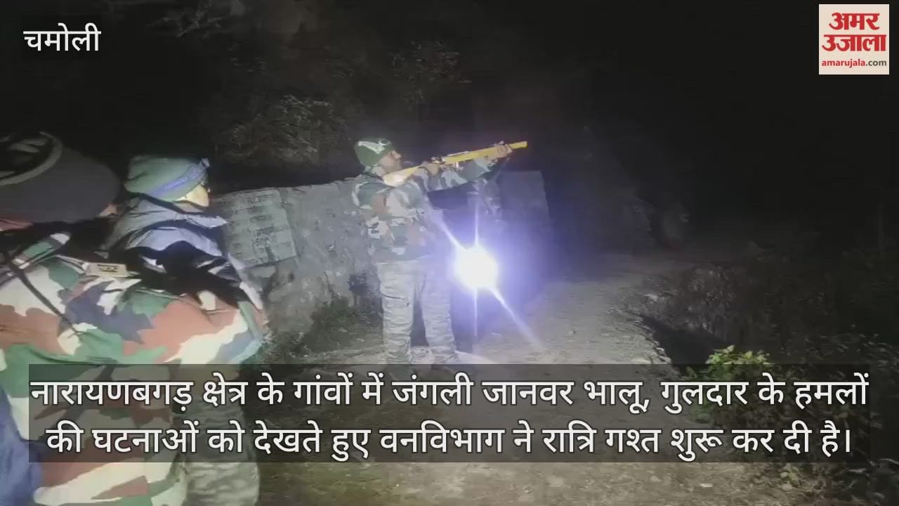 Chamoli Video Bears and leopards are causing panic in Narayanbagad forest department has started night patrols