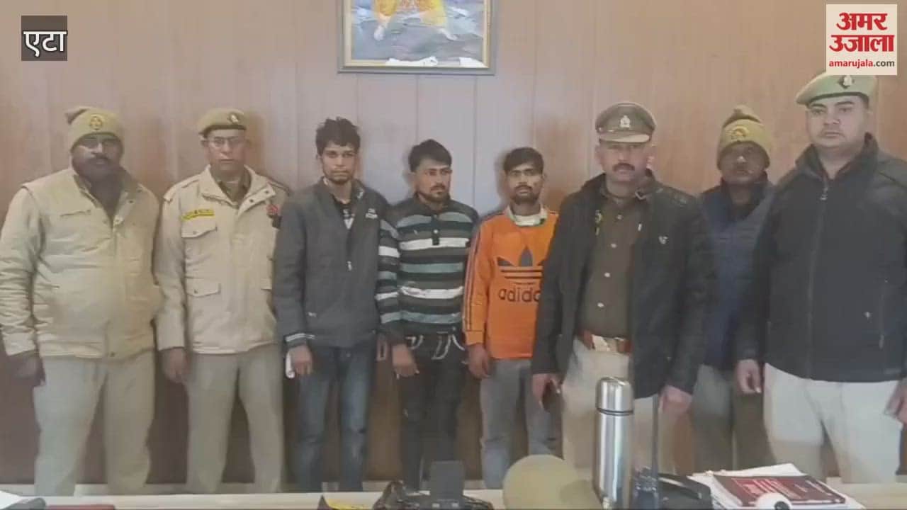 Police have solved theft at grocery store