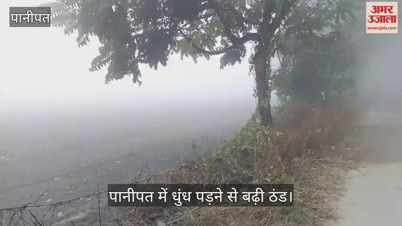 Fog in Panipat increased the cold