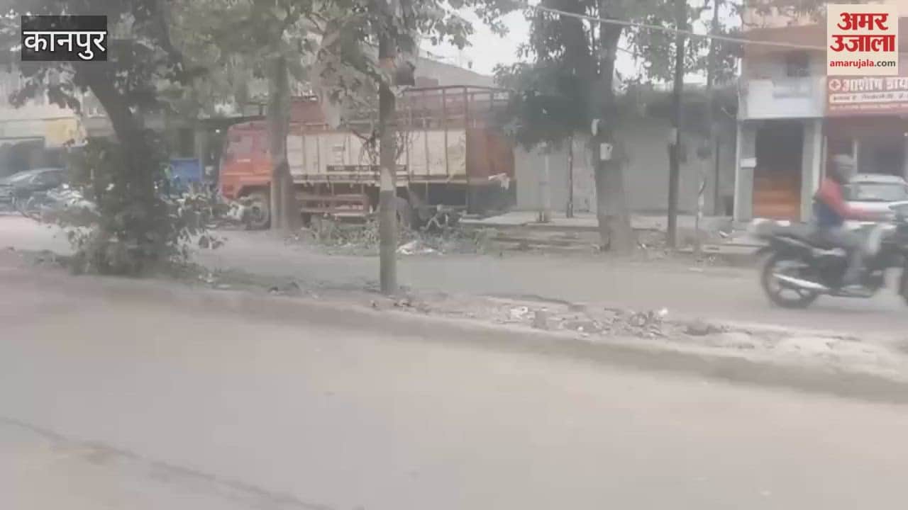 Several trees have fallen between KDA Chowk and Police Chowki Chowk, authorities remain unaware