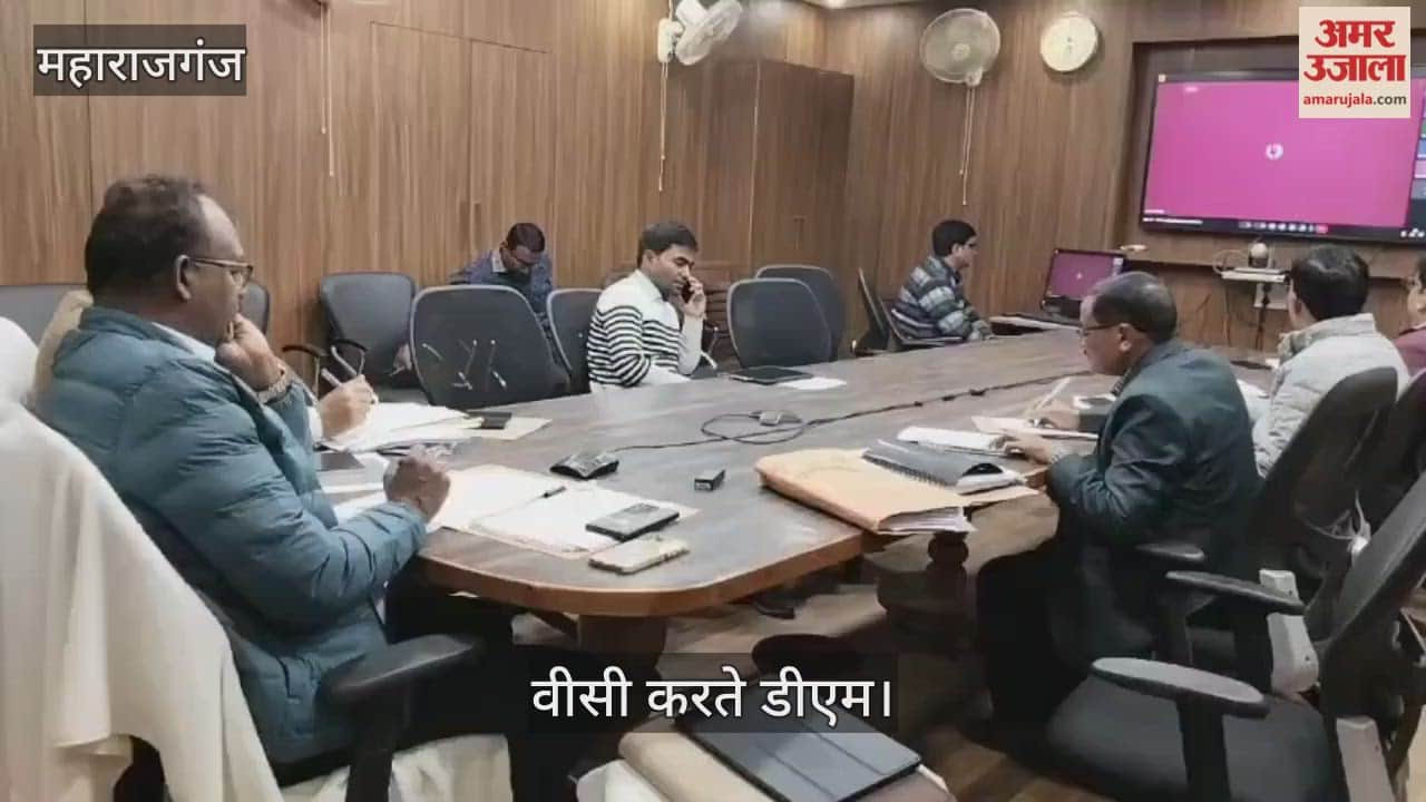 DM inspected various cow shelters in the district through VC.