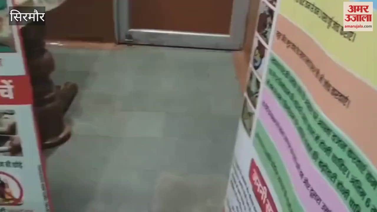 Sirmour An NGT camp was organized in Bhandariwala where the health of 105 employees and workers was checked