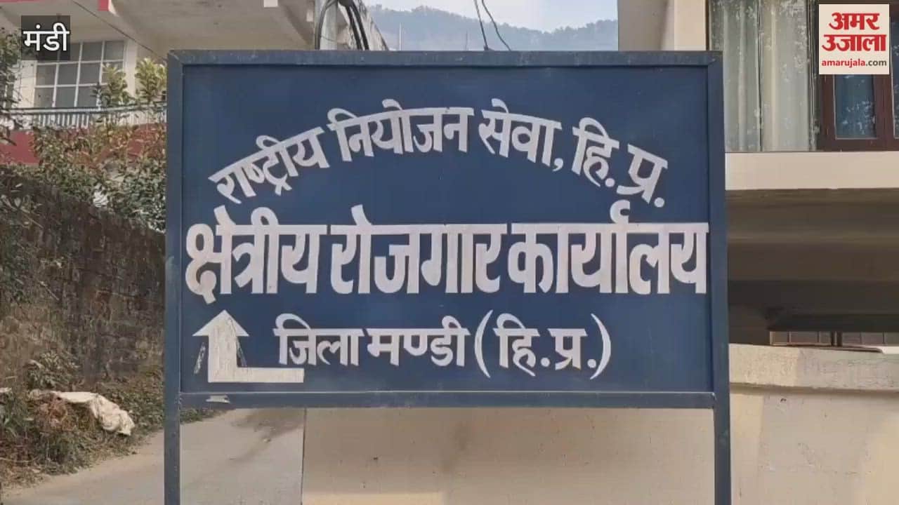 Mandi MLA Chandrashekhar said that the state government is providing safe and respectable employment opportunities to the youth abroad