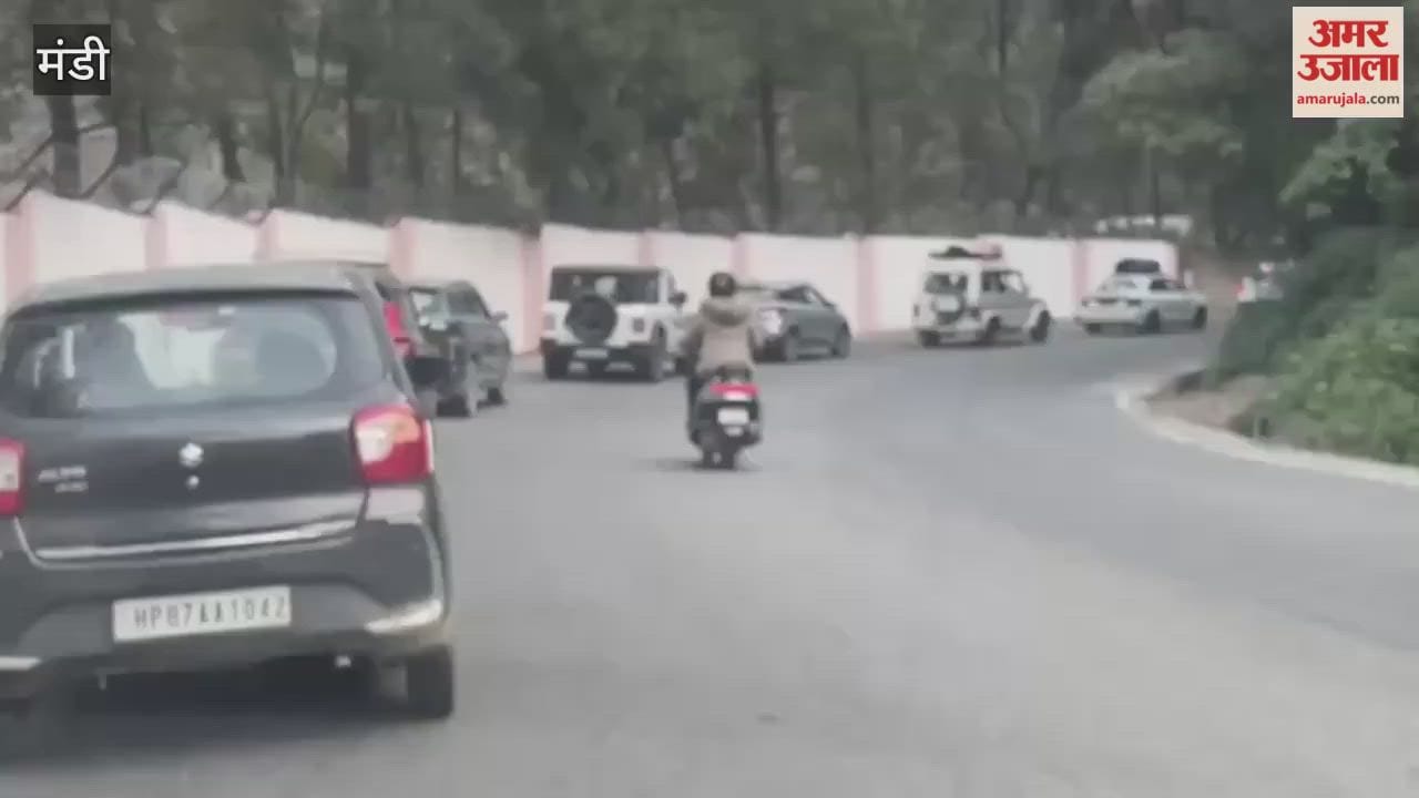 Mandi Tourists have arrived in Kullu-Manali hoping to see snow