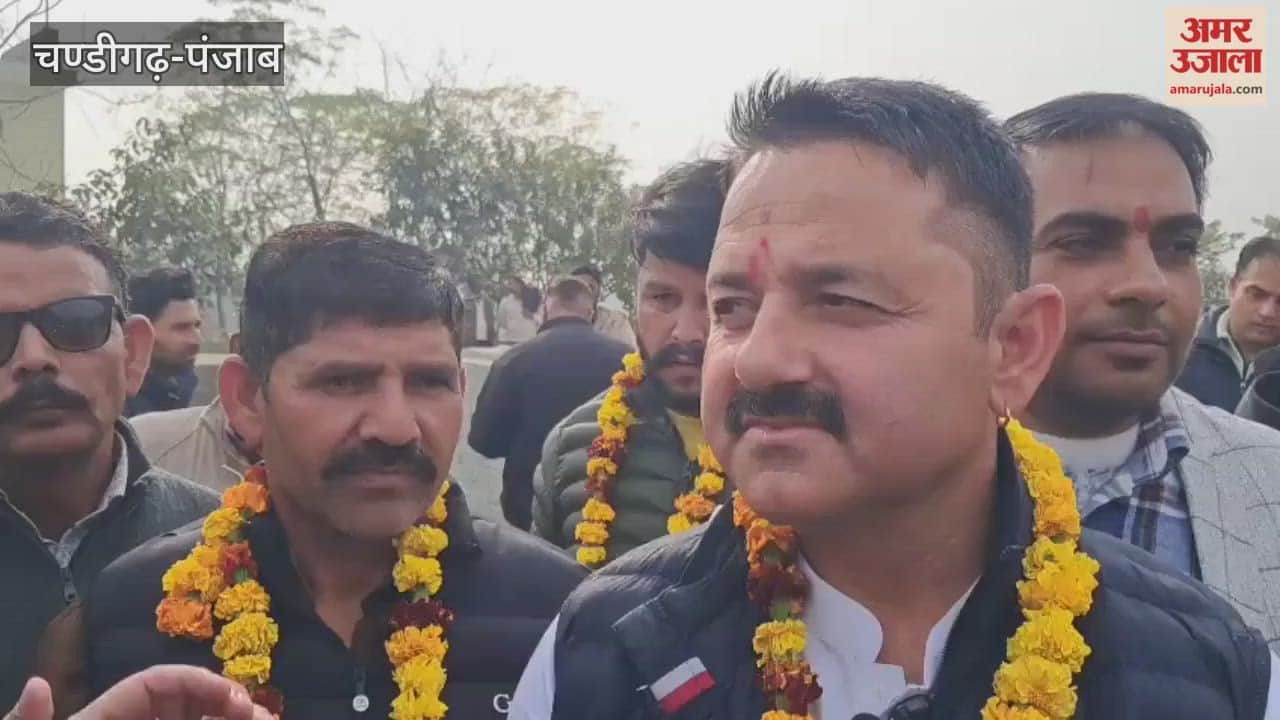 75 percent of votes went to AAP Congress 25 percent in Pathankot