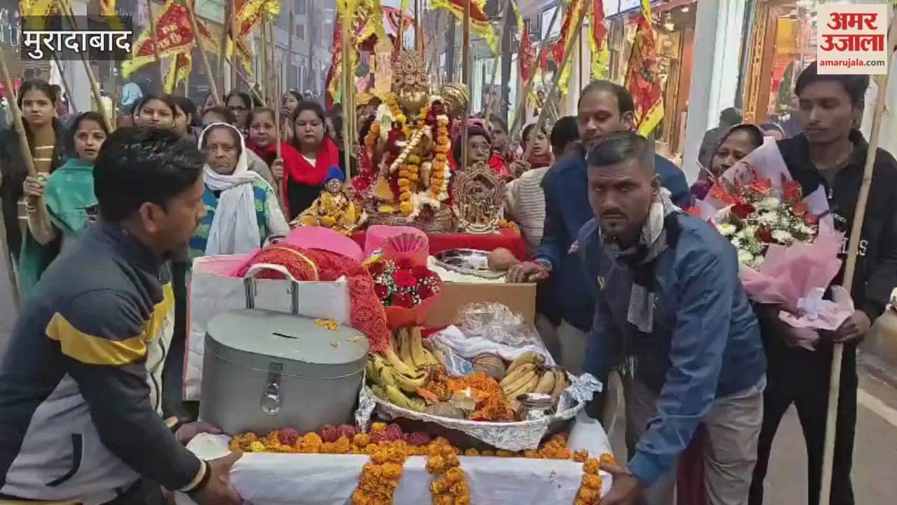 गुलजारीमल धर्मशाला से निकली बिरादरी बालाजी महोत्सव की भव्य शोभायात्रा