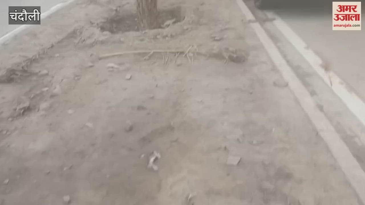 Water provided to dry date palm trees after months new trees were also planted