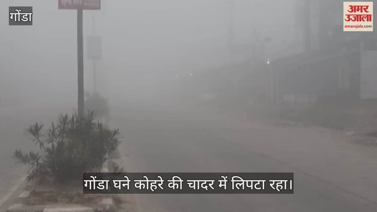 VIDEO: गोंडा में घना कोहरा और शीतलहर का प्रकोप, दृश्यता 20 मीटर से भी कम, प्रशासन अलर्ट
