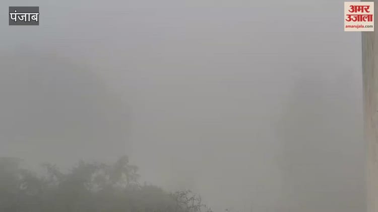 फगवाड़ा में घने कोहरे से विजिबिलिटी 20 मीटर से भी कम – Dense Fog In Phagwara Reduces Visibility To Less Than 20 Metres