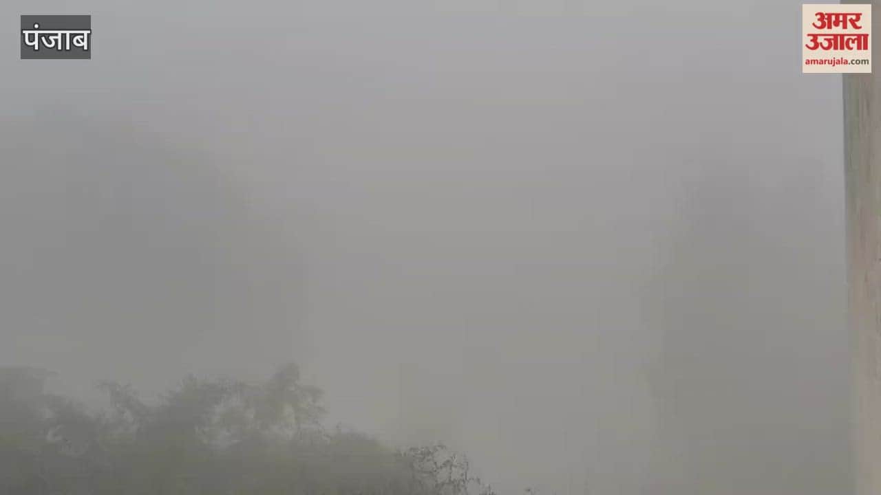 Dense fog in Phagwara reduces visibility to less than 20 metres