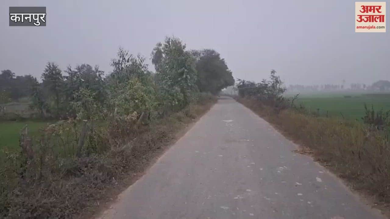 sun did not appear for the second consecutive day in the Bhitargaon area, and the biting cold persisted.