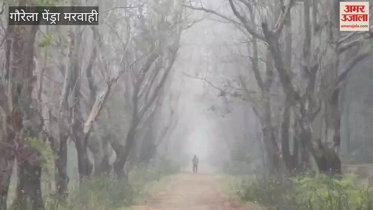 Dense fog covered Gaurela Pendra Marwahi, and strong, cold winds intensified the chill