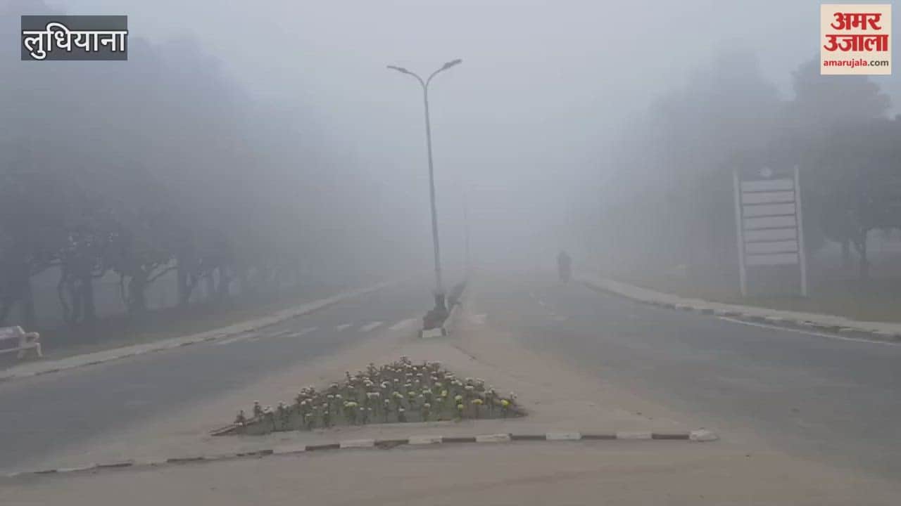 Dense fog in Ludhiana