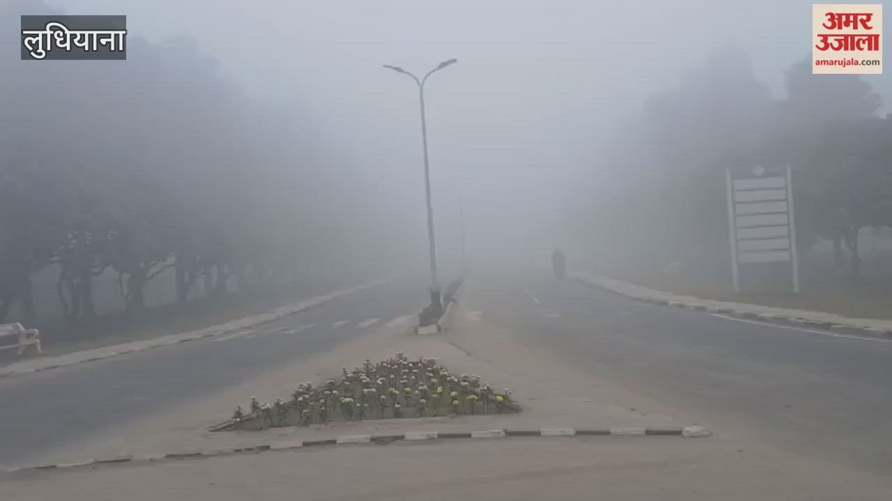 Dense fog in Ludhiana