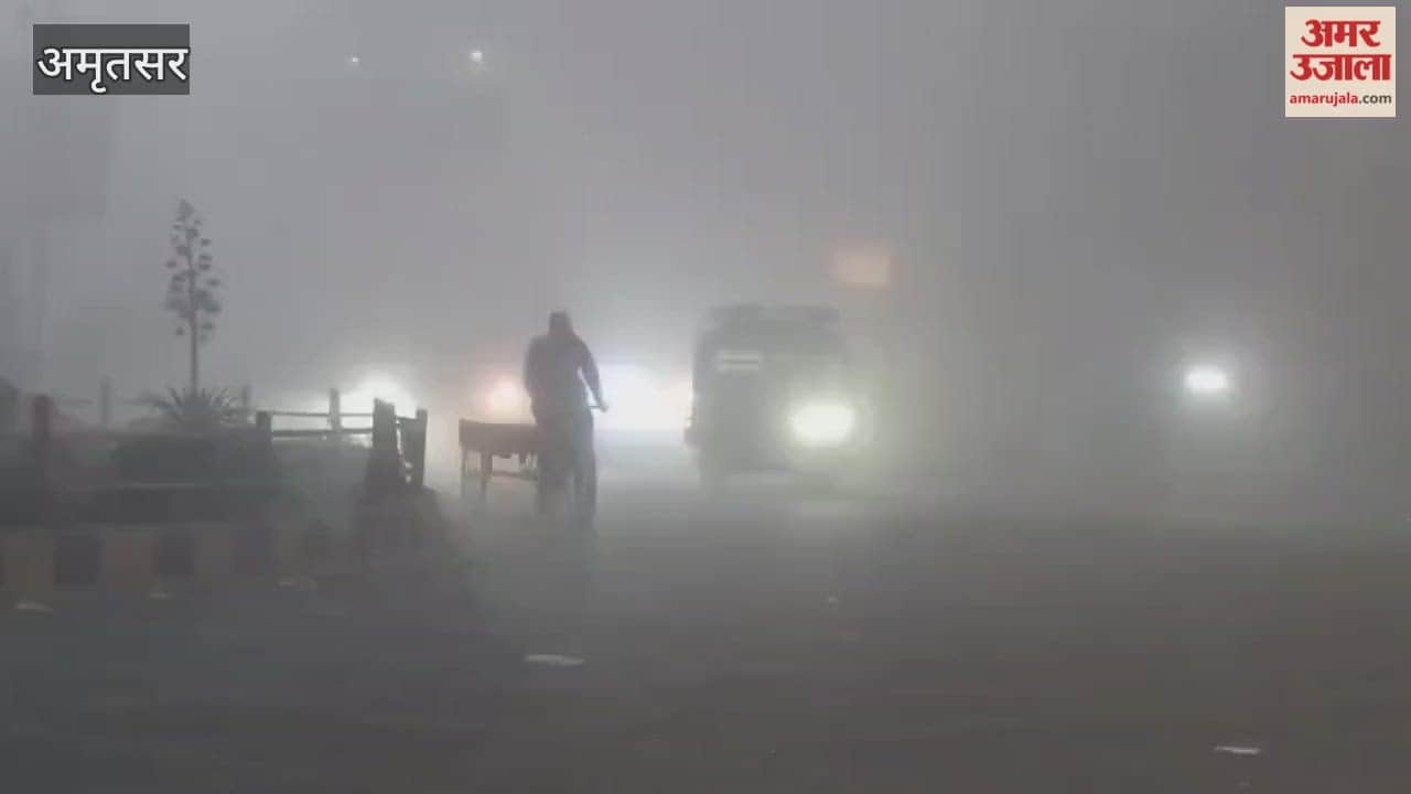 Fog wreaks havoc in Amritsar