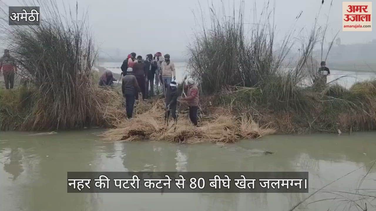 अमेठी में नहर की पटरी कटने से 80 बीघे खेत जलमग्न