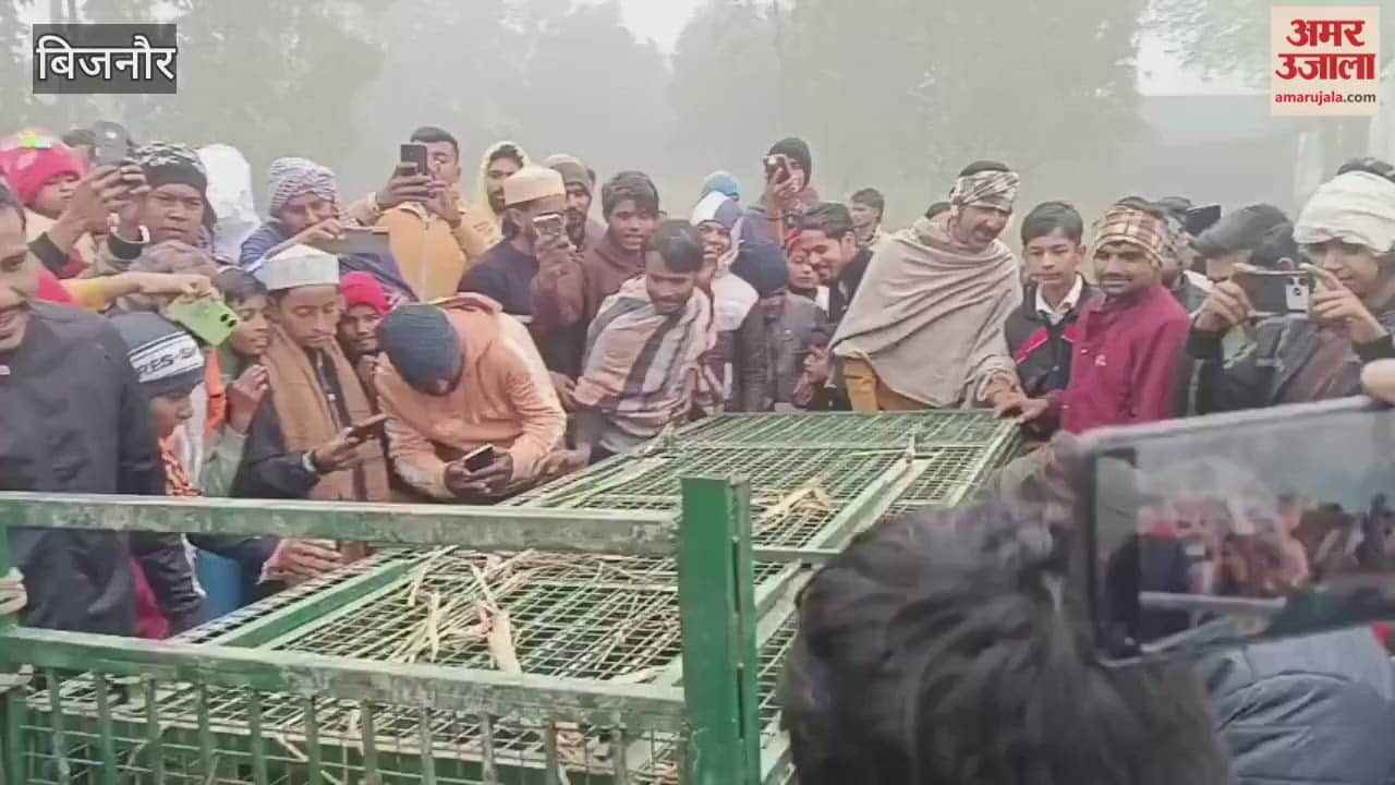 Bijnor: A female leopard was trapped in a cage in Dhansini village, but forest department officials did not arrive
