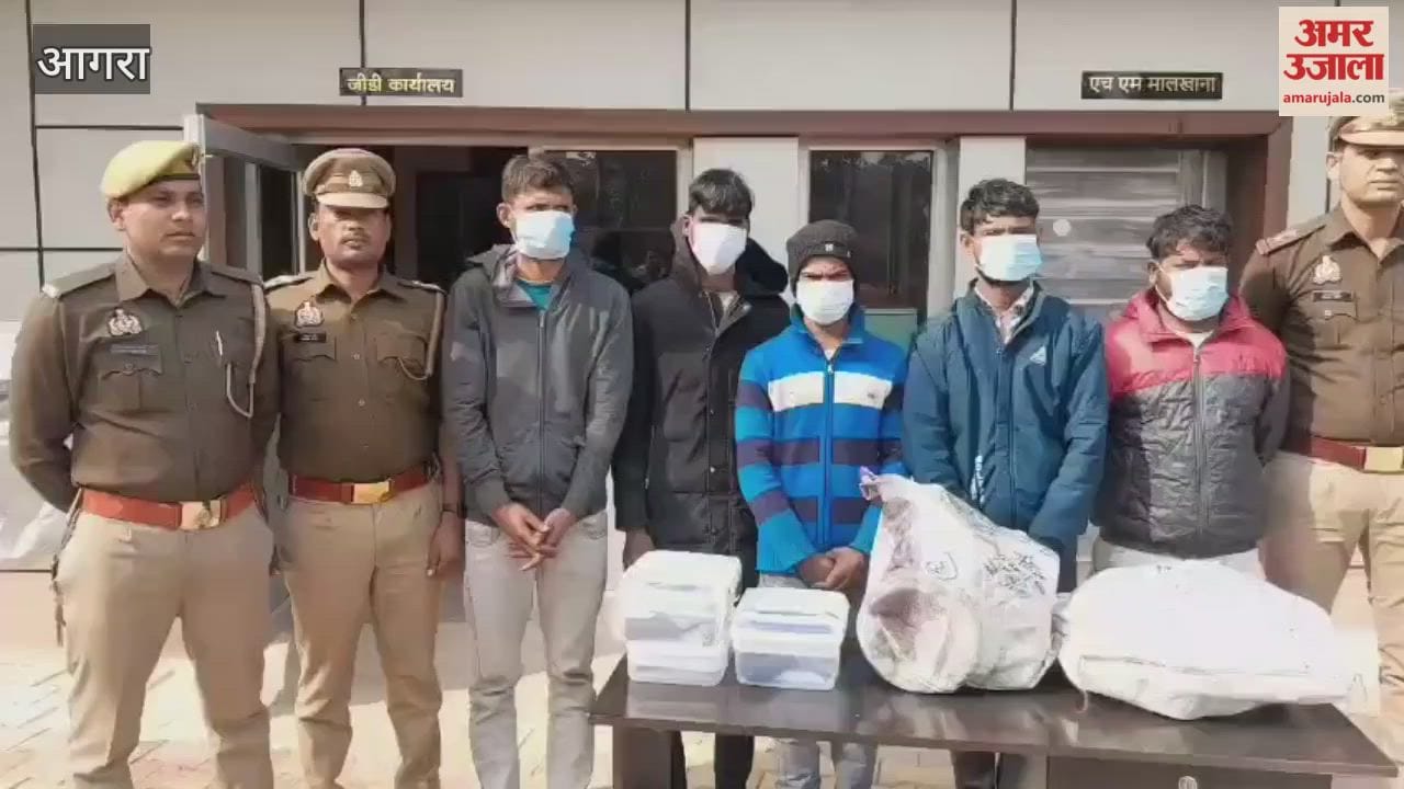 Five Arrested in Agra for Stealing Copper from Transformer
