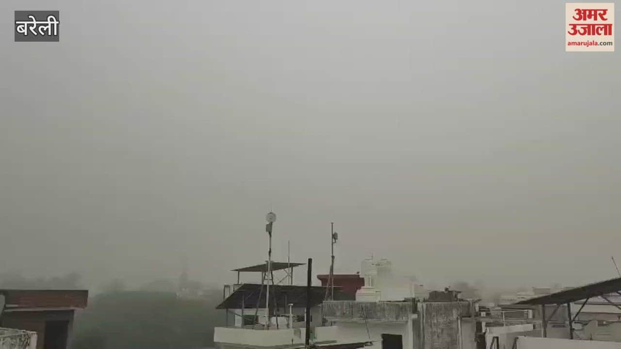 Bareilly remained shrouded in fog throughout the day