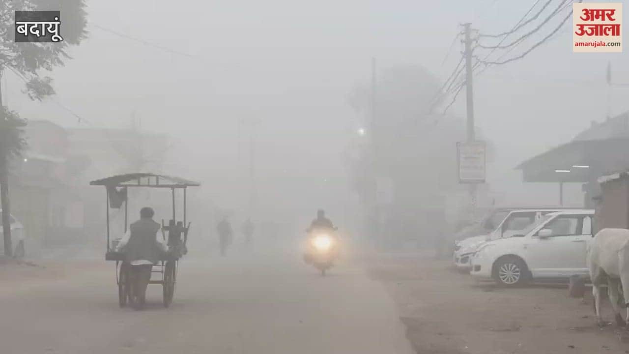 Dense fog prevailed in Badaun
