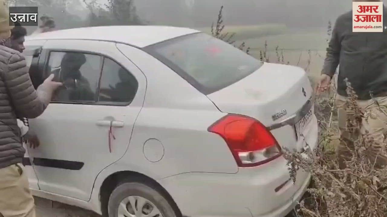 48 chickens stolen from poultry farm car driver accused arrested