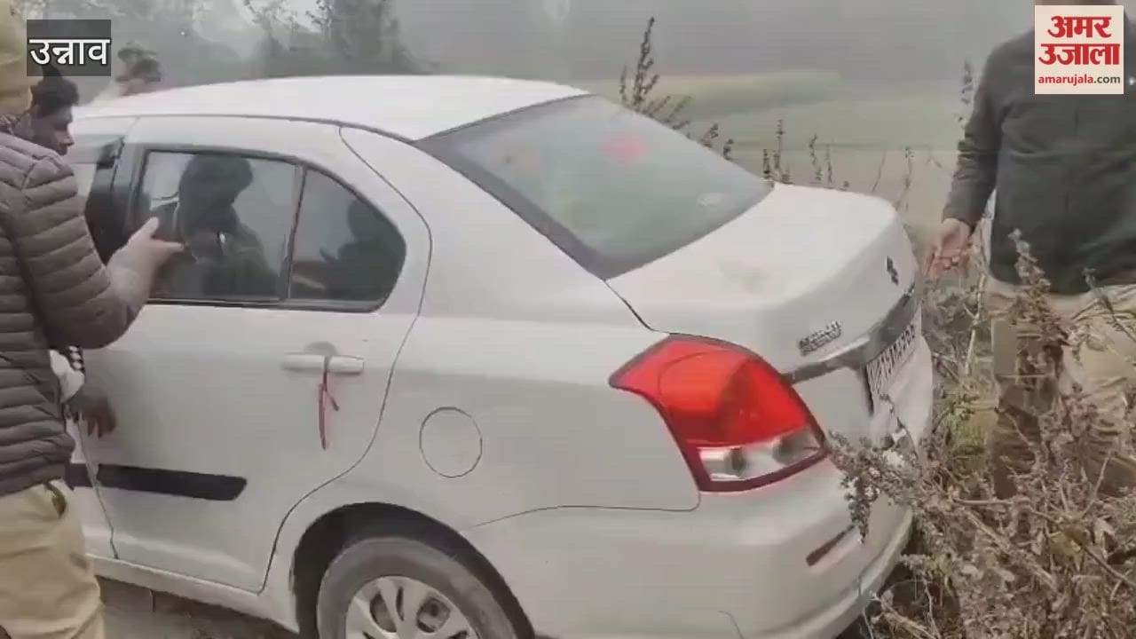 48 chickens stolen from poultry farm car driver accused arrested